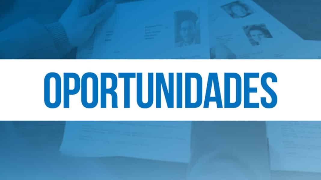Centro de Atendimento ao Trabalhador apoia processo seletivo de rede de supermercados 