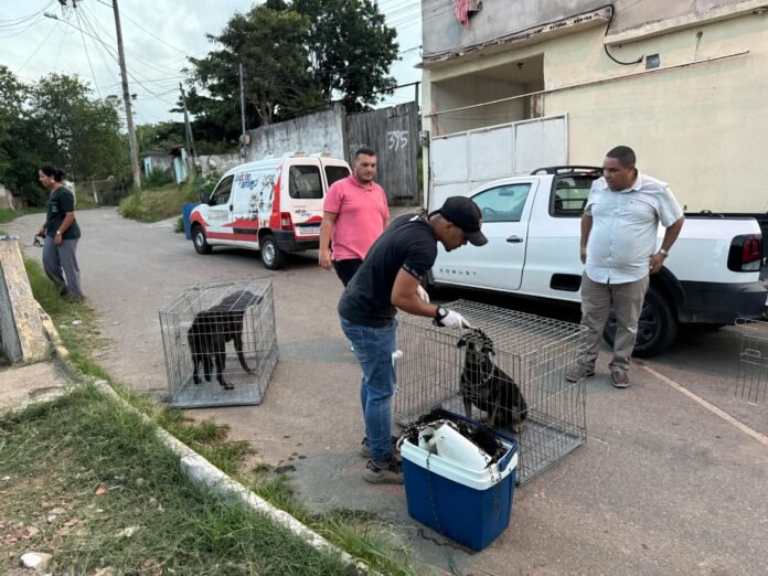 Prefeitura de Maricá resgata cães que atacaram moradores em Araçatiba