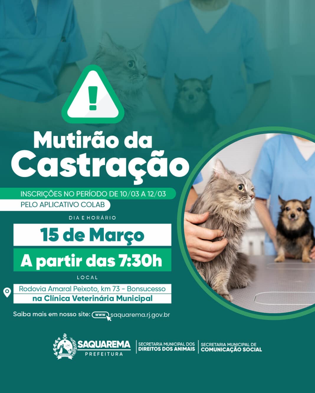 Prefeitura realizará mutirão de castração de cães e gatos