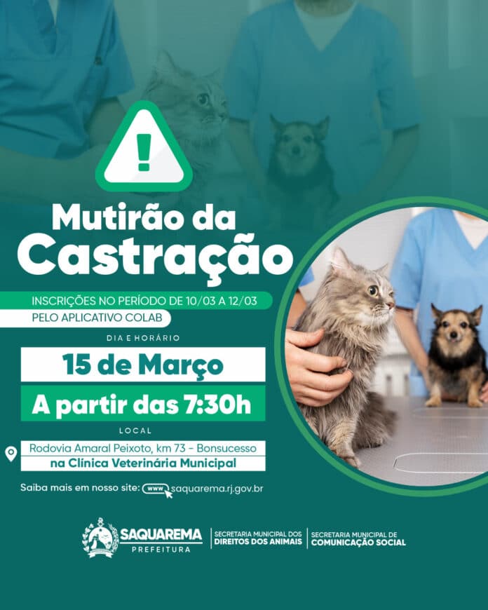 Prefeitura realizará mutirão de castração de cães e gatos