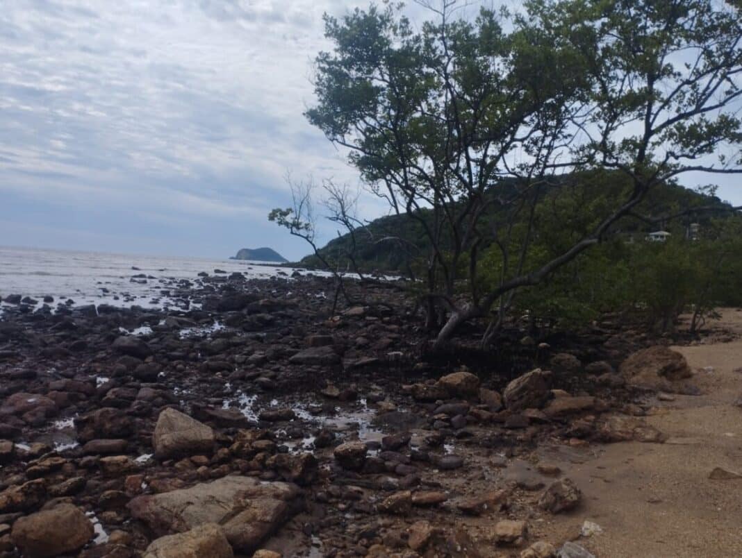 Agentes da Guarda Mirim de Búzios participam de ação de educação ambiental no Mangue de Pedra