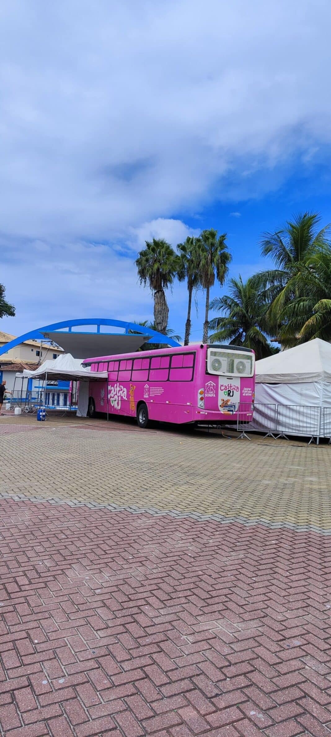 Castrações gratuitas começam nesta terça na Praça de São Cristóvão, em Cabo Frio