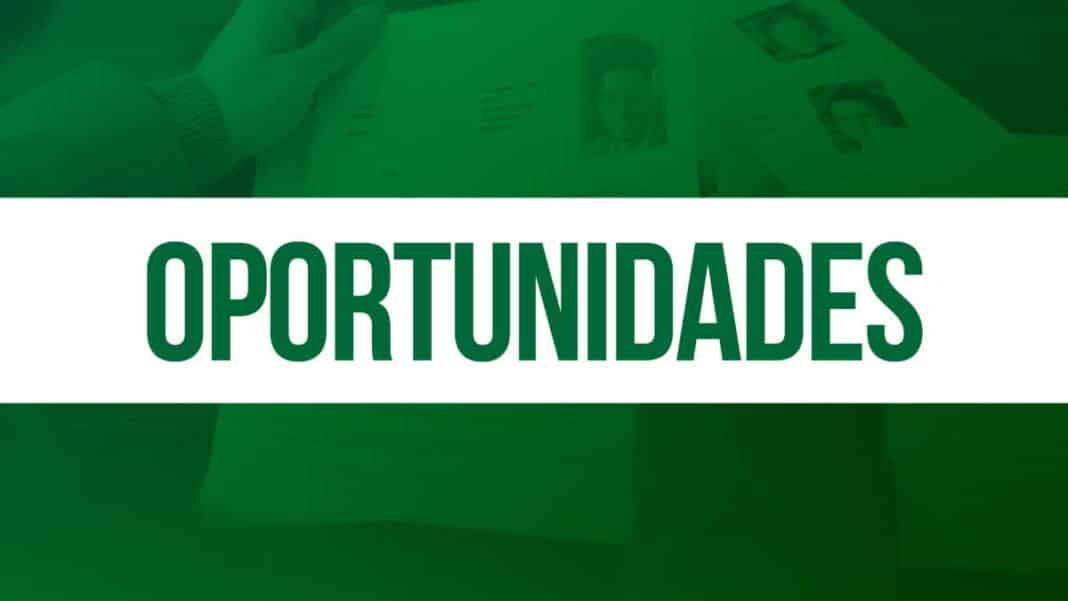 Centro de Atendimento ao Trabalhador apoia segunda etapa de processo seletivo