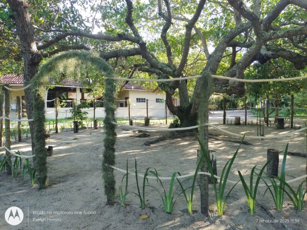 Espaço de educação ambiental ganha novo visual no Parque do Mico-Leão-Dourado, em Cabo Frio