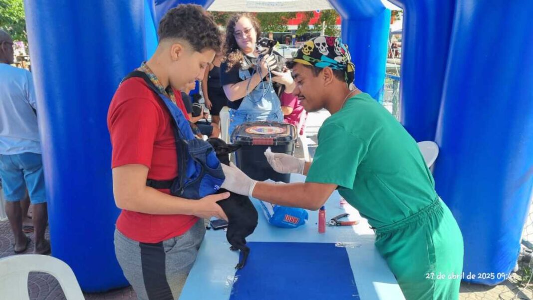 Evento “Social Pet” mobiliza tutores e promove saúde animal em São Pedro da Aldeia