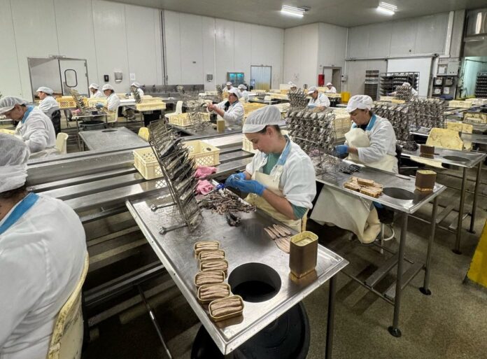 Maricá espera produzir 5 milhões de peixes enlatados por ano com fábrica de conservas em Bambuí
