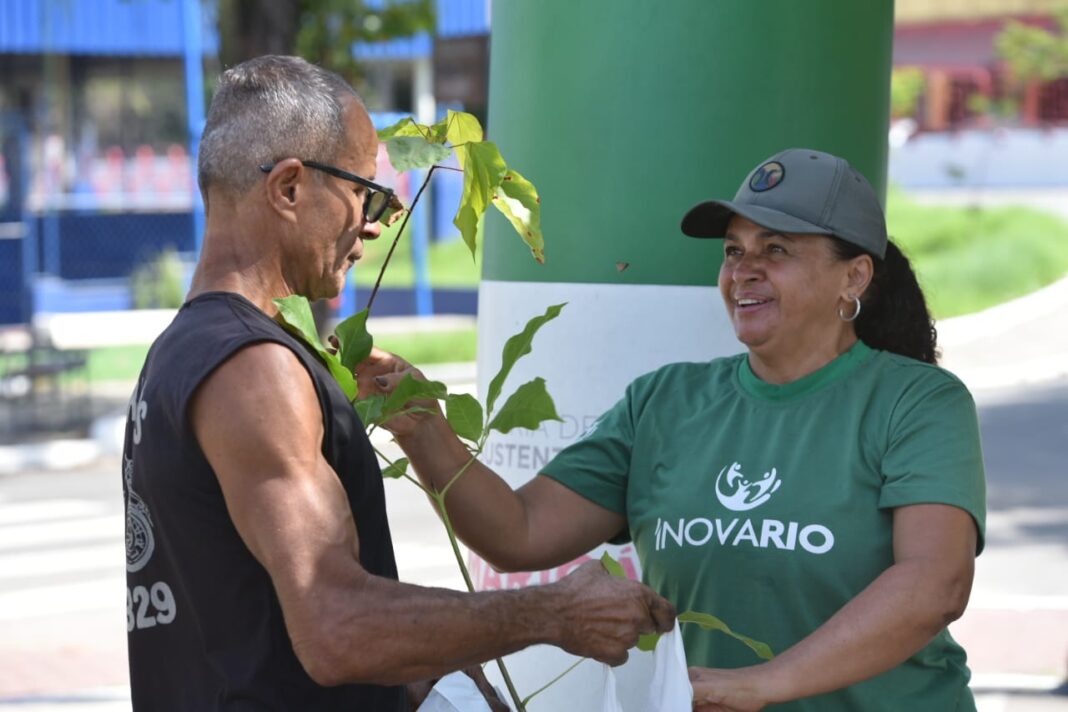 Maricá+Verde alcança marca de 50 mil mudas distribuídas e outras 100 mil árvores plantadas
