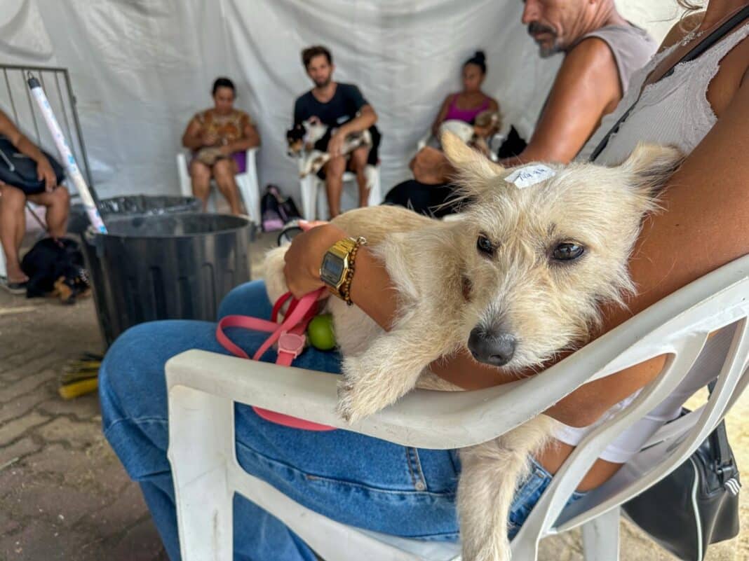 Projeto Castra Mais Rio está em sua última semana em Tamoios e abre inscrições para o primeiro distrito