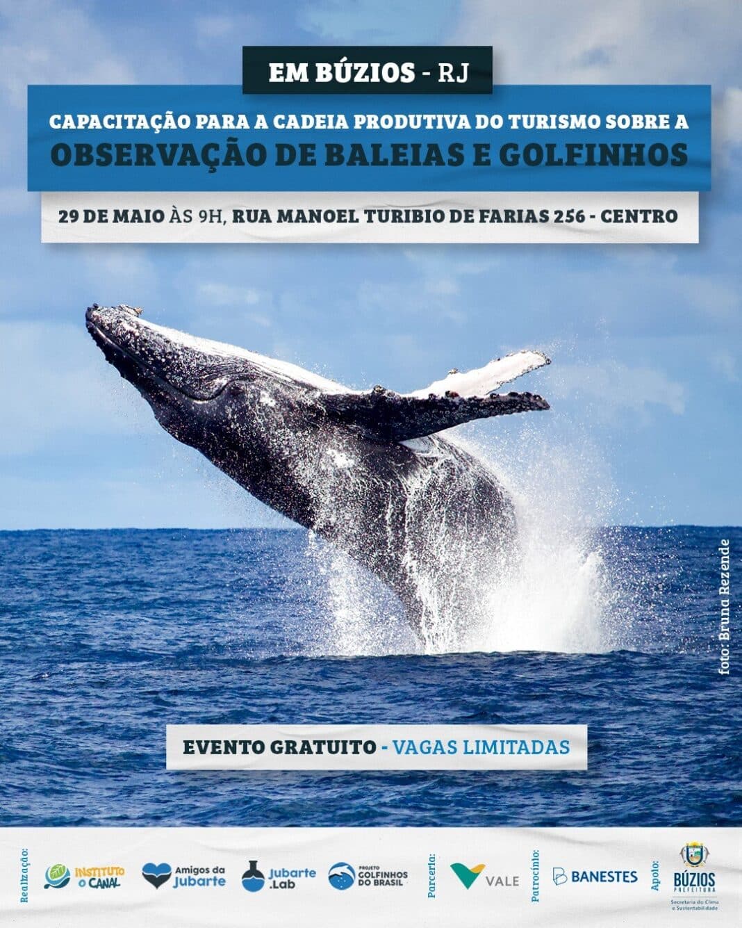 Búzios oferece capacitação para operadores de turismo sobre observação de baleias e golfinhos