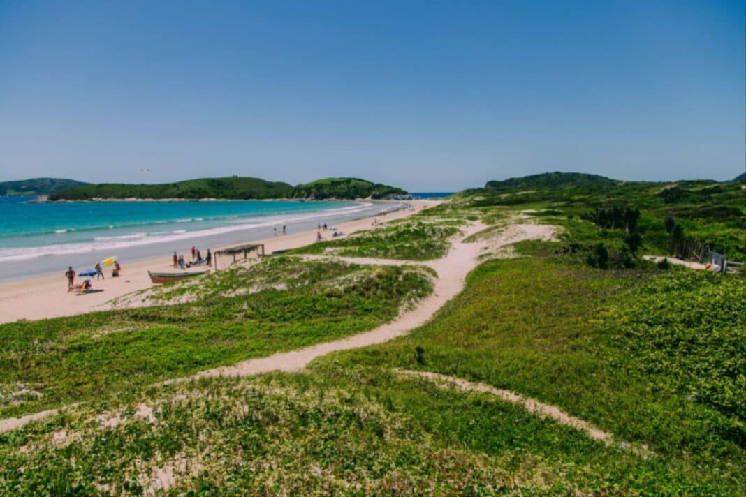 Cabo Frio celebra o Dia da Mata Atlântica com foco na preservação dos seus fragmentos naturais