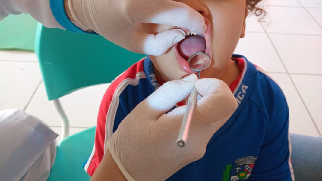 Dia D de Saúde Bucal nas escolas municipais promoveu o bem-estar de 463 crianças