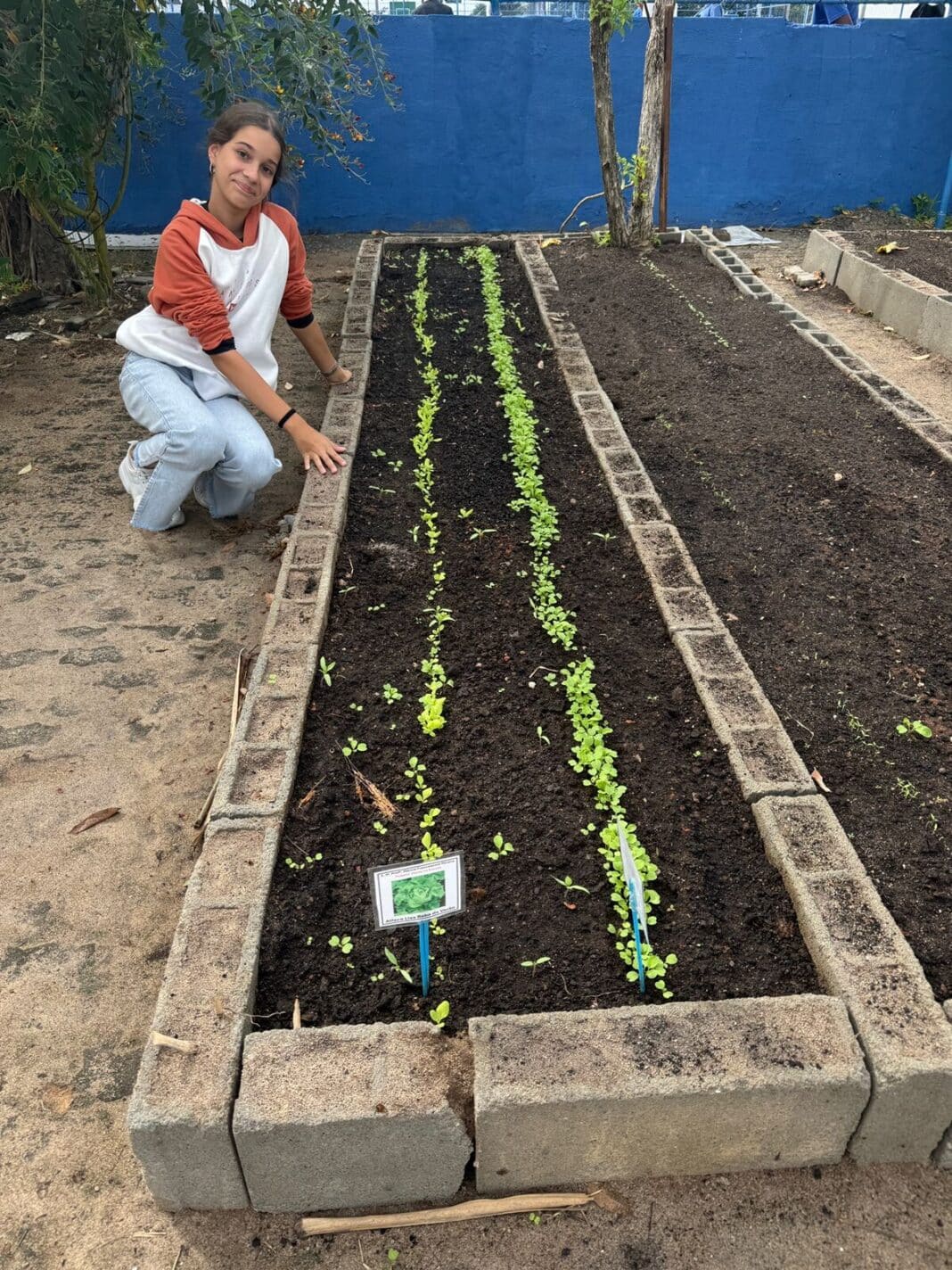 Hortas escolares transformam espaços e promovem educação ambiental em Cabo Frio