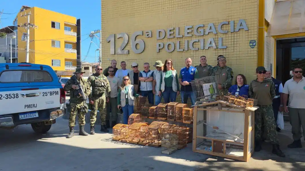 Operação resgata 31 animais silvestres em cativeiro ilegal em Cabo Frio