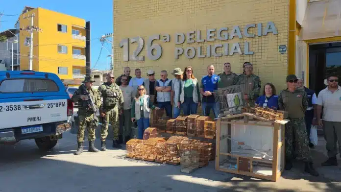 Operação resgata 31 animais silvestres em cativeiro ilegal em Cabo Frio