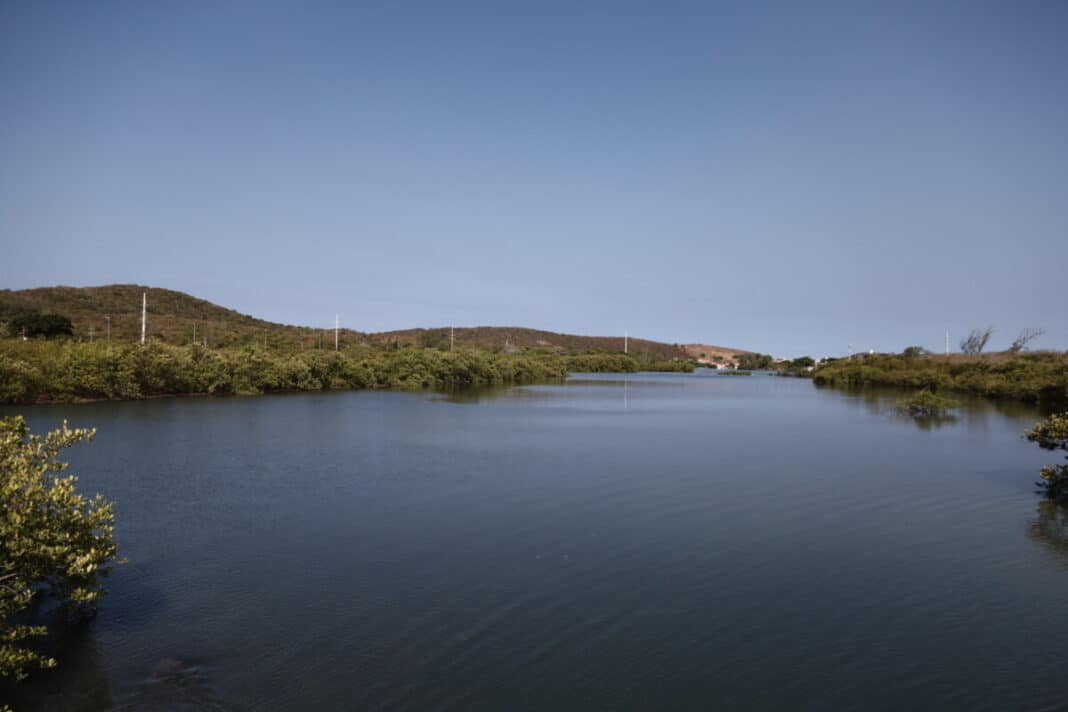 Prefeitura de Cabo Frio promove Semana do Meio Ambiente com ações educativas e imersão na natureza