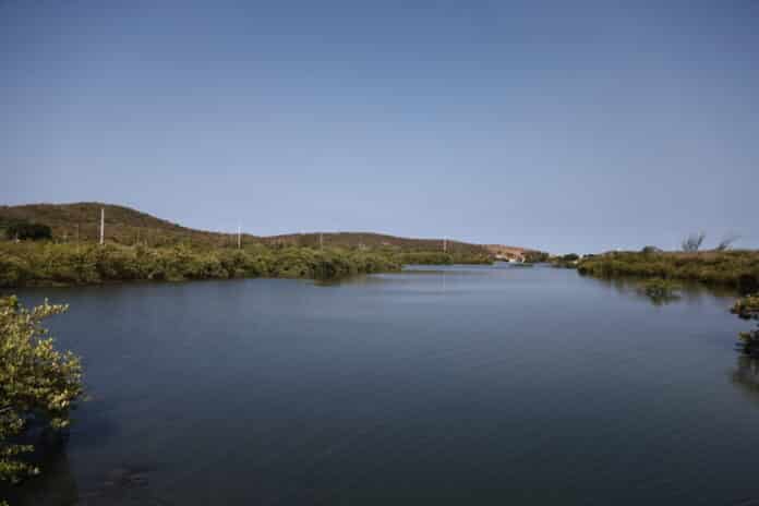 Prefeitura de Cabo Frio promove Semana do Meio Ambiente com ações educativas e imersão na natureza