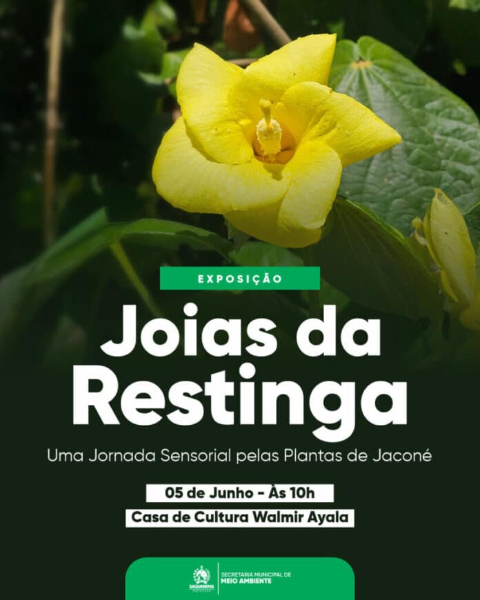 Prefeitura realizará exposição sensorial Joias da Restinga