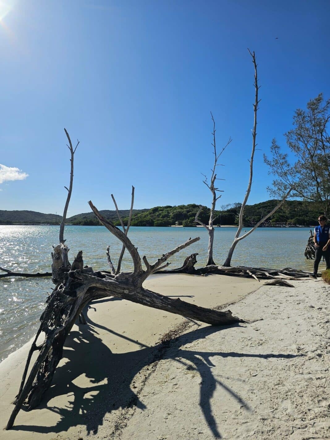 Secretários de Meio Ambiente e Turismo de Cabo Frio realizam vistoria na Ilha do Japonês