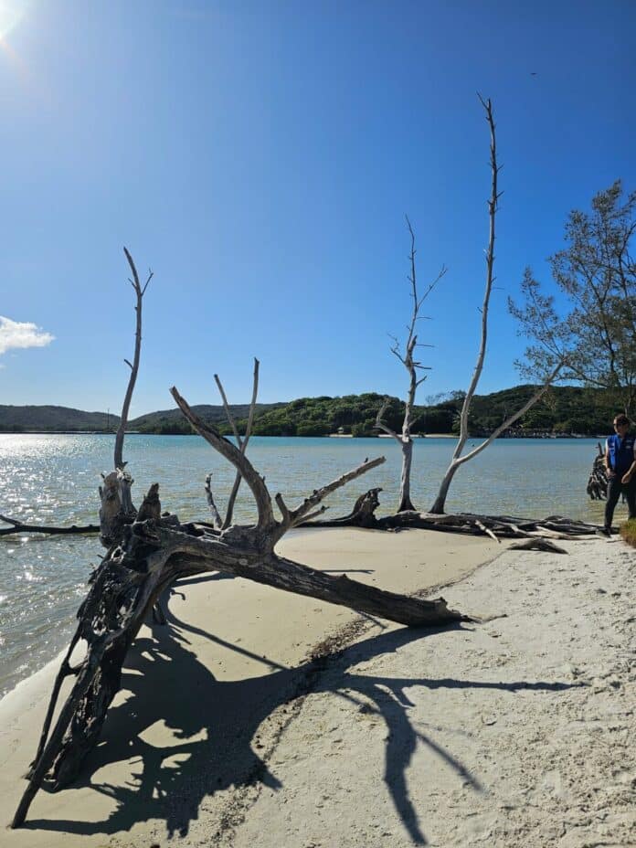 Secretários de Meio Ambiente e Turismo de Cabo Frio realizam vistoria na Ilha do Japonês