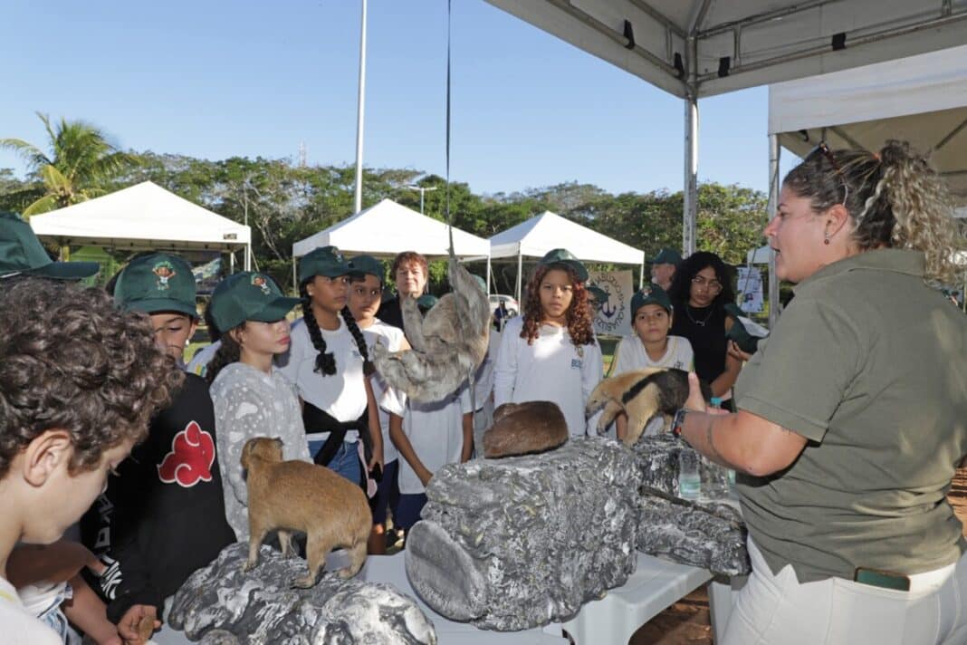 Búzios promove ação de educação ambiental com alunos no Bairro São José.