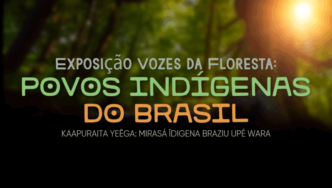 Exposição “Vozes da Floresta” é prorrogada até o dia 03 de julho na Casa da Cultura