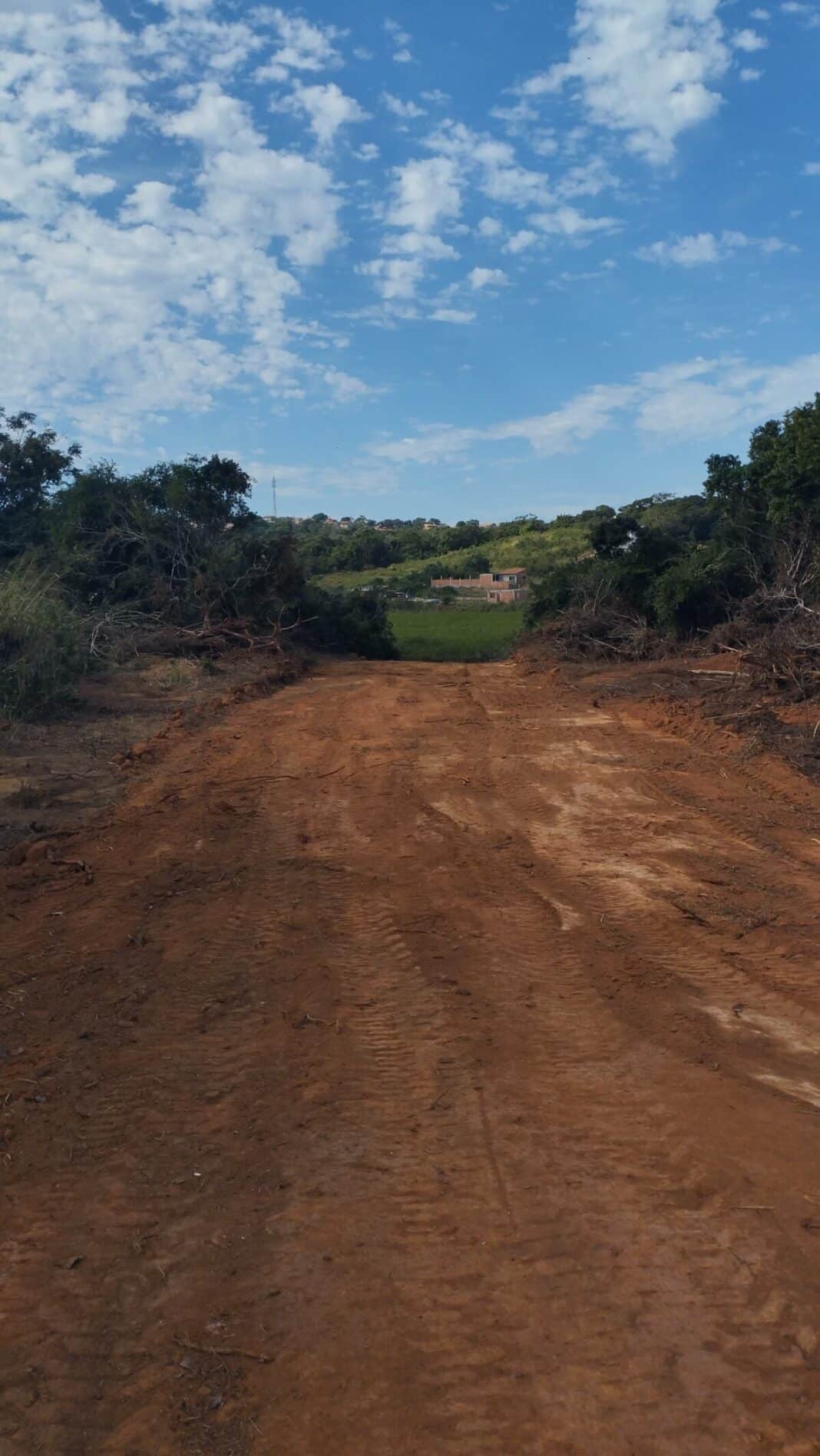 Fiscalização identifica loteamento irregular em área de vegetação no bairro Maria Joaquina