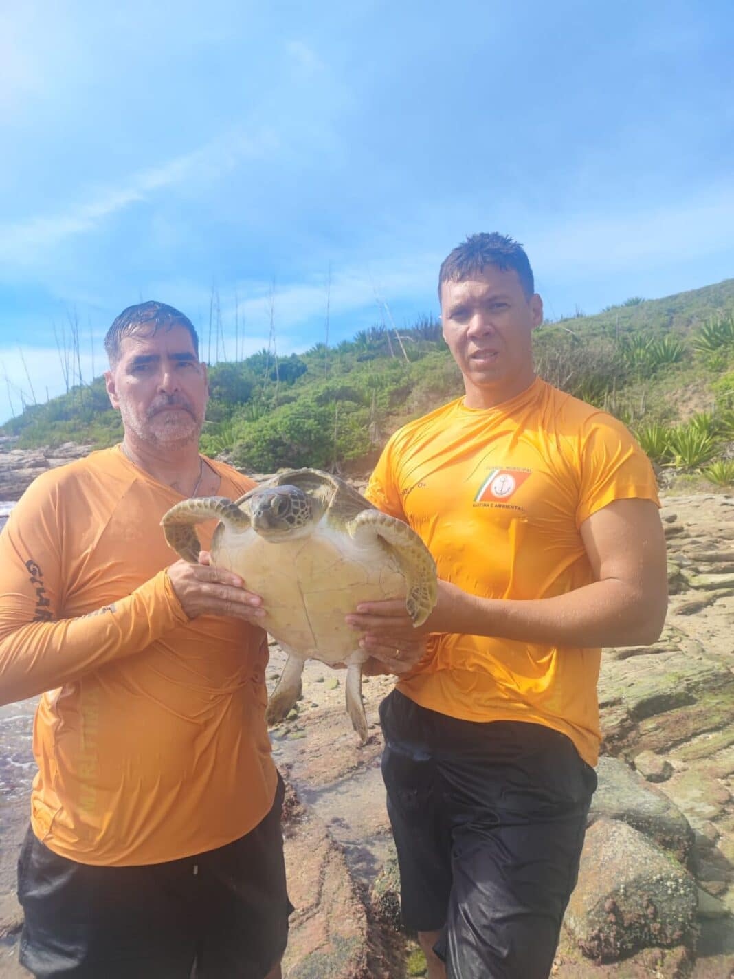 Guarda Civil resgata quatro tartarugas presas em rede de pesca em Cabo Frio