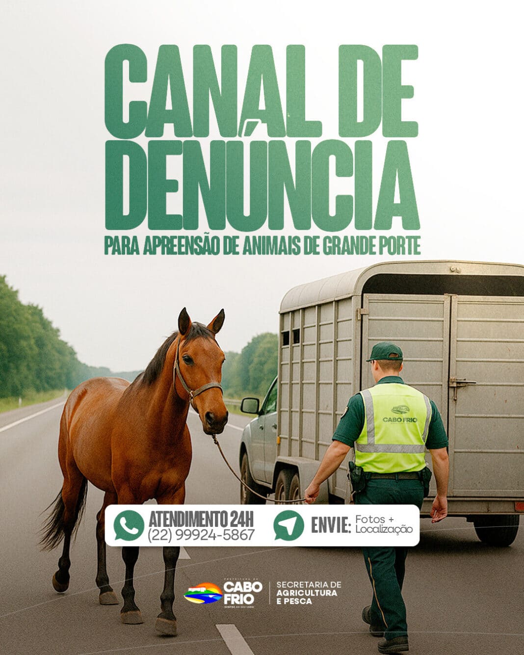 Novo canal de denúncias para apreensão de animais soltos entra em funcionamento em Cabo Frio