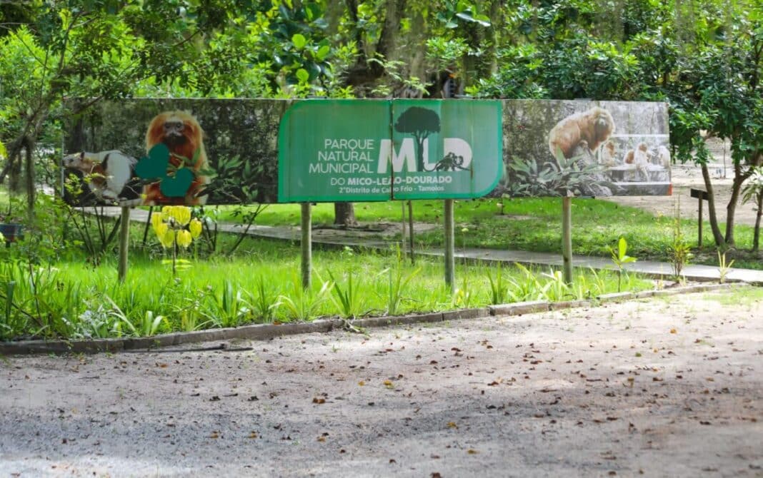 Parque do Mico-Leão-Dourado recebe atividades da Semana do Meio Ambiente neste sábado
