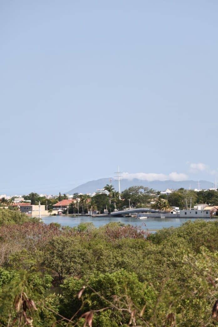 Prefeitura de Cabo Frio promove plantio de 300 mudas de mangue em ação de compensação ambiental