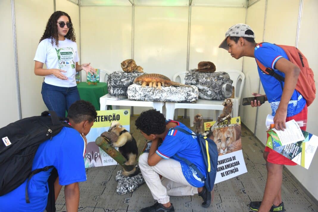 Secretaria de Meio Ambiente e Sustentabilidade celebra a Semana Mundial do Meio Ambiente com ações integradas