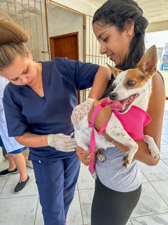 Secretaria de Saúde de Cabo Frio disponibiliza posto fixo para vacinação antirrábica