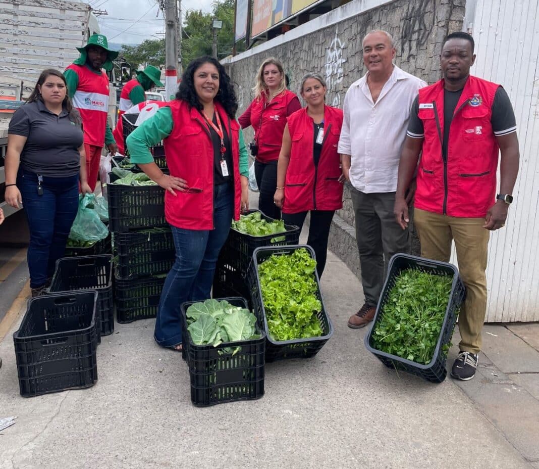 Agricultura distribui hortaliças e plantas medicinais para idosos