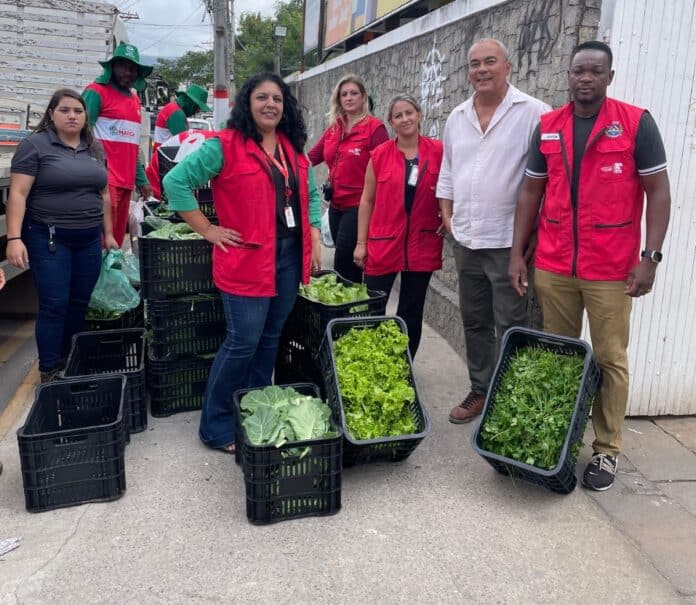Agricultura distribui hortaliças e plantas medicinais para idosos
