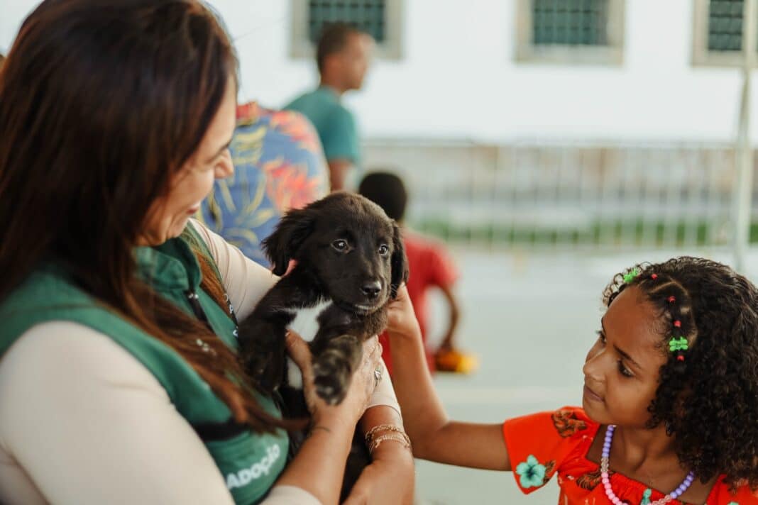 Bem-Estar Animal promove campanhas de adoção e castração
