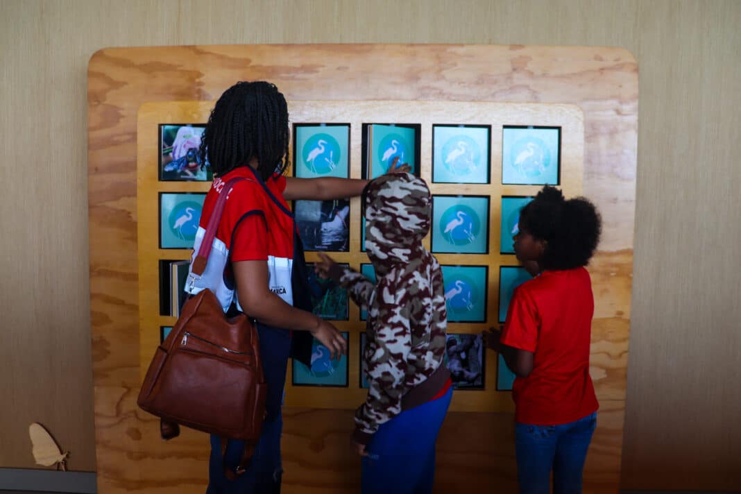 Crianças e adolescentes de abrigos de Maricá participam de vivência socioambiental