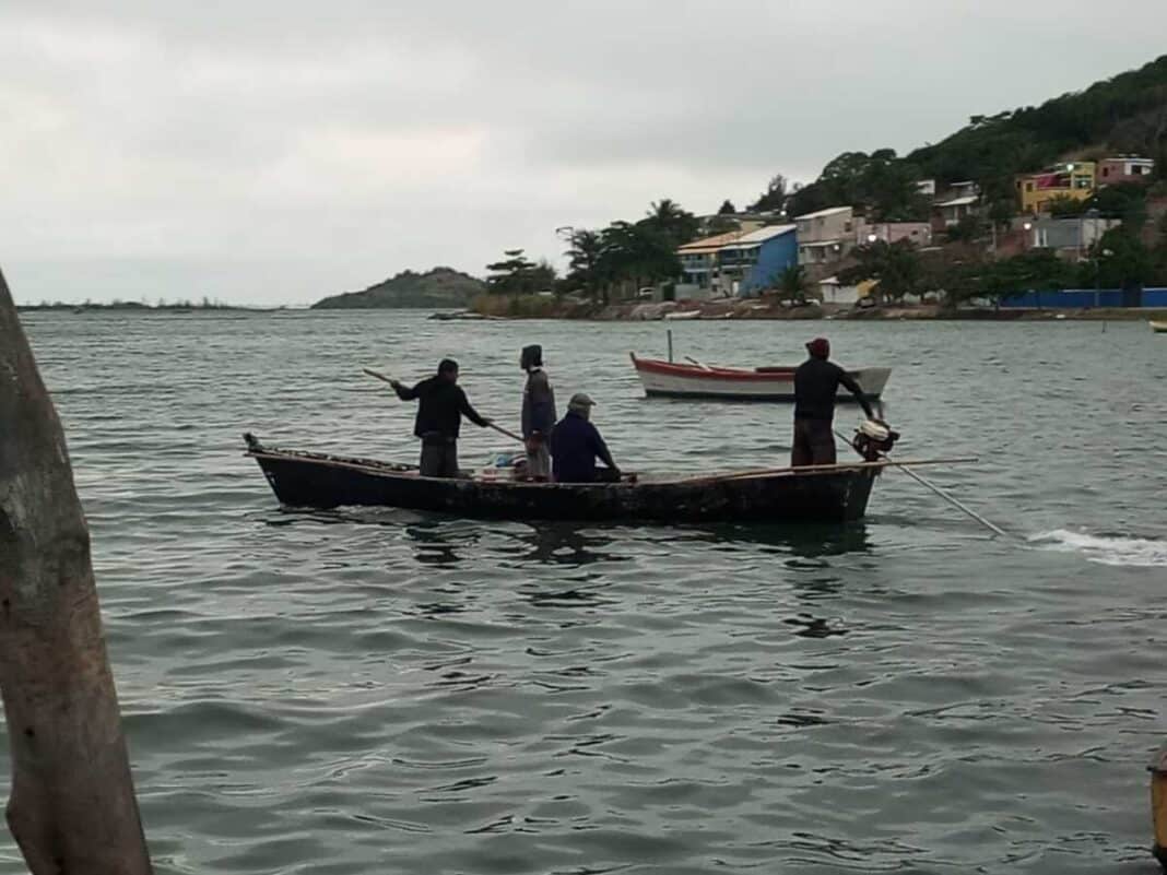 Fim do defeso registra cerca de duas toneladas de camarão em São Pedro da Aldeia