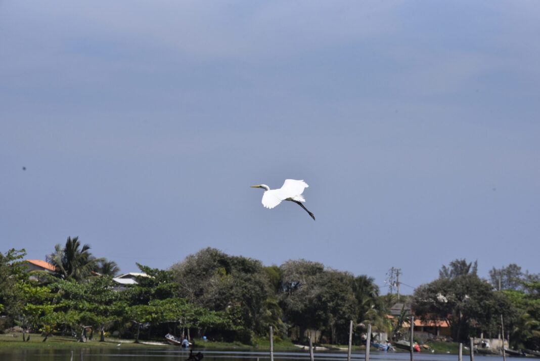Maricá tem previsão de tempo estável até quinta-feira (17/07)