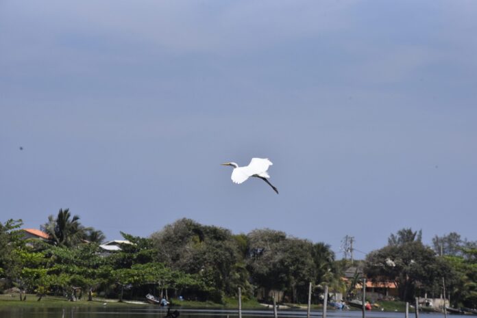 Maricá tem previsão de tempo estável até quinta-feira (17/07)