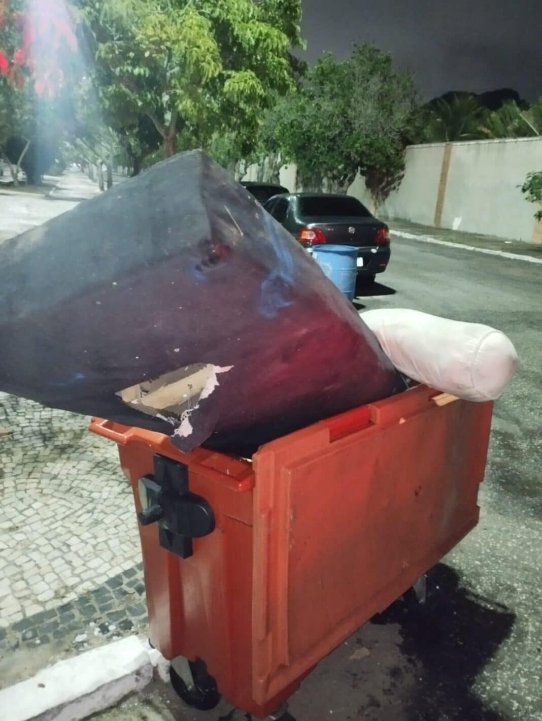 Materiais escondidos em área verde no bairro Braga são removidos pela Guarda Civil de Cabo Frio