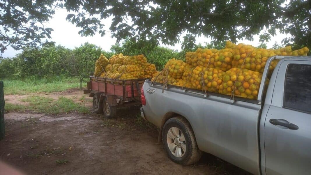 Oficina gratuita ensina produtores rurais de Cabo Frio a precificar corretamente seus produtos