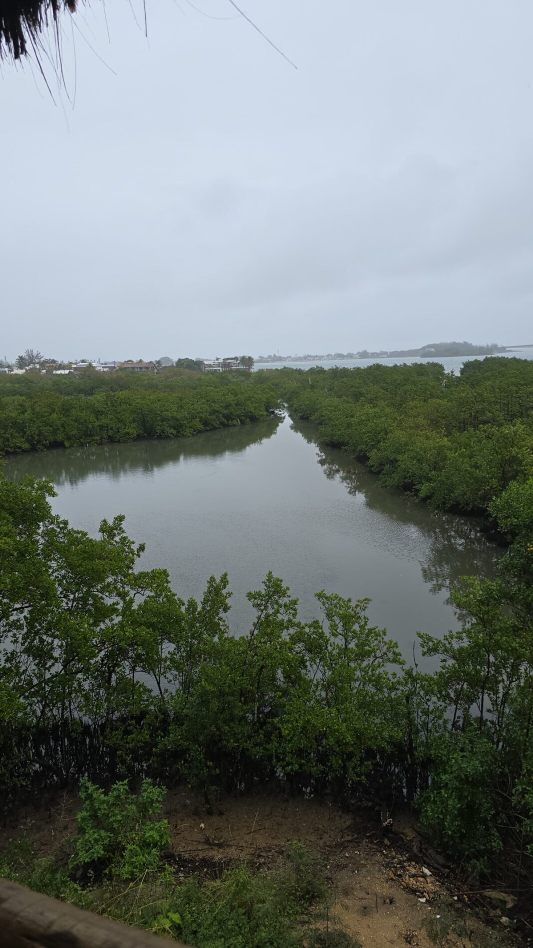 Prefeitura de Cabo Frio e UPAm reforçam parceria para intensificar fiscalização ambiental no município
