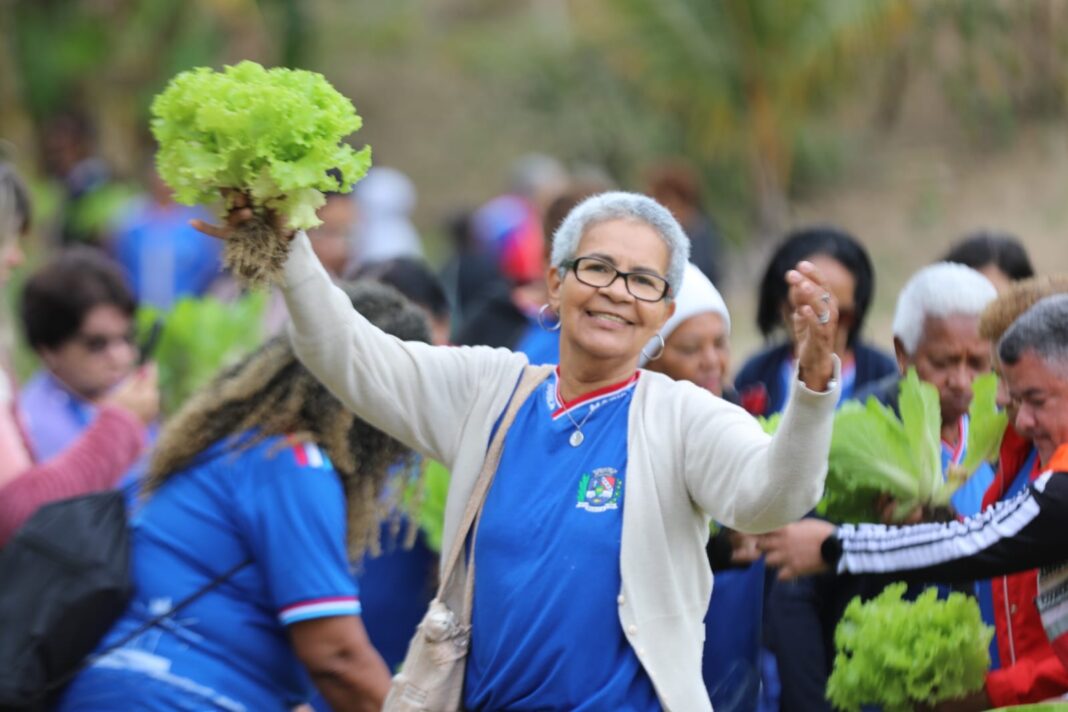 Prefeitura de Maricá promove atividade para a terceira idade na Horta Orgânica do Condado