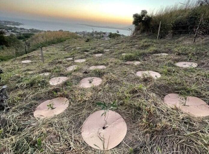 Secretaria de Meio Ambiente acompanha ações de plantio em São Pedro da Aldeia