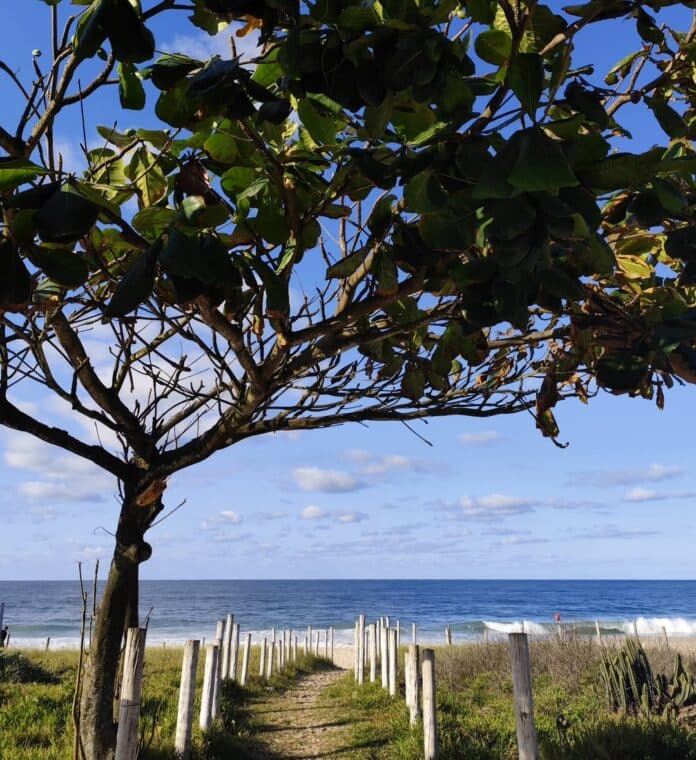 Terça-feira (22/07) com previsão de céu claro a parcialmente nublado na cidade do Rio, sem chuva