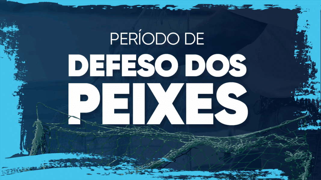 Defeso da Lagoa de Araruama tem início nesta sexta-feira (01)
