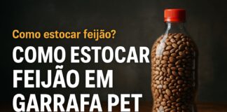 Feijão para 5 Anos: Como Estocar com Sistema a Vácuo em Garrafa PET Feijão para 5 Anos: Como Estocar com Sistema a Vácuo em Garrafa PET