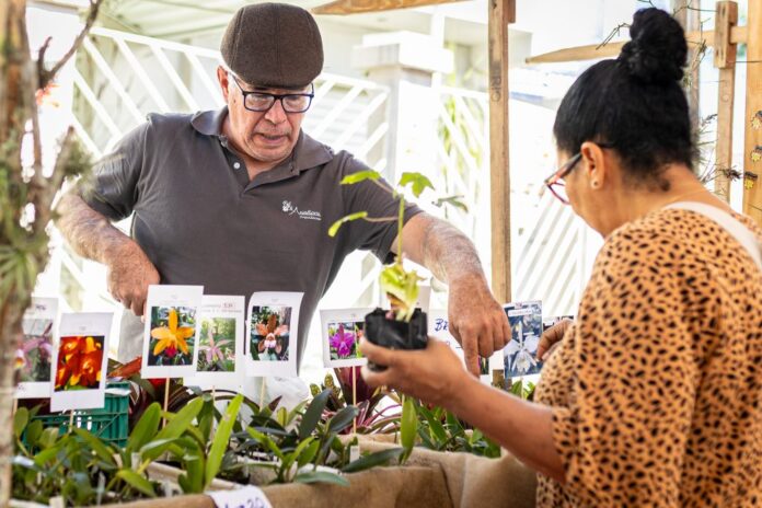 Feira da Agricultura Familiar movimenta Praça Agroecológica de Araçatiba com produtos frescos e ações sustentáveis