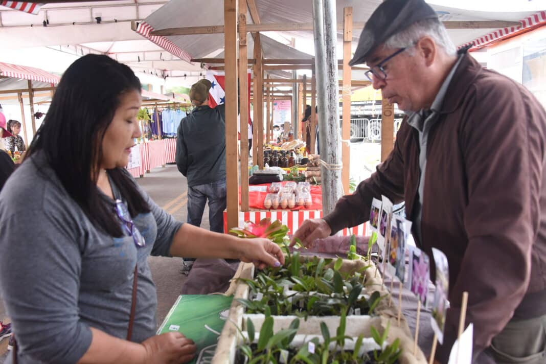 Feira de Agricultura Familiar movimenta Itaipuaçu com produtos orgânicos e gastronomia local