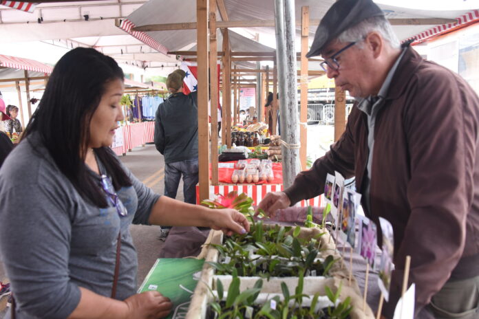 Feira de Agricultura Familiar movimenta Itaipuaçu com produtos orgânicos e gastronomia local
